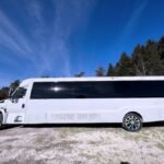 White 30-passenger party bus parked on a sunny day in front of trees – Brantford Limo.